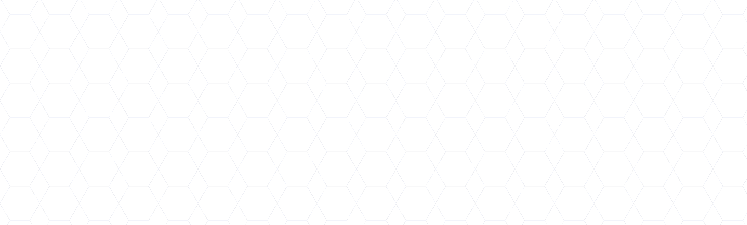 decorative background net